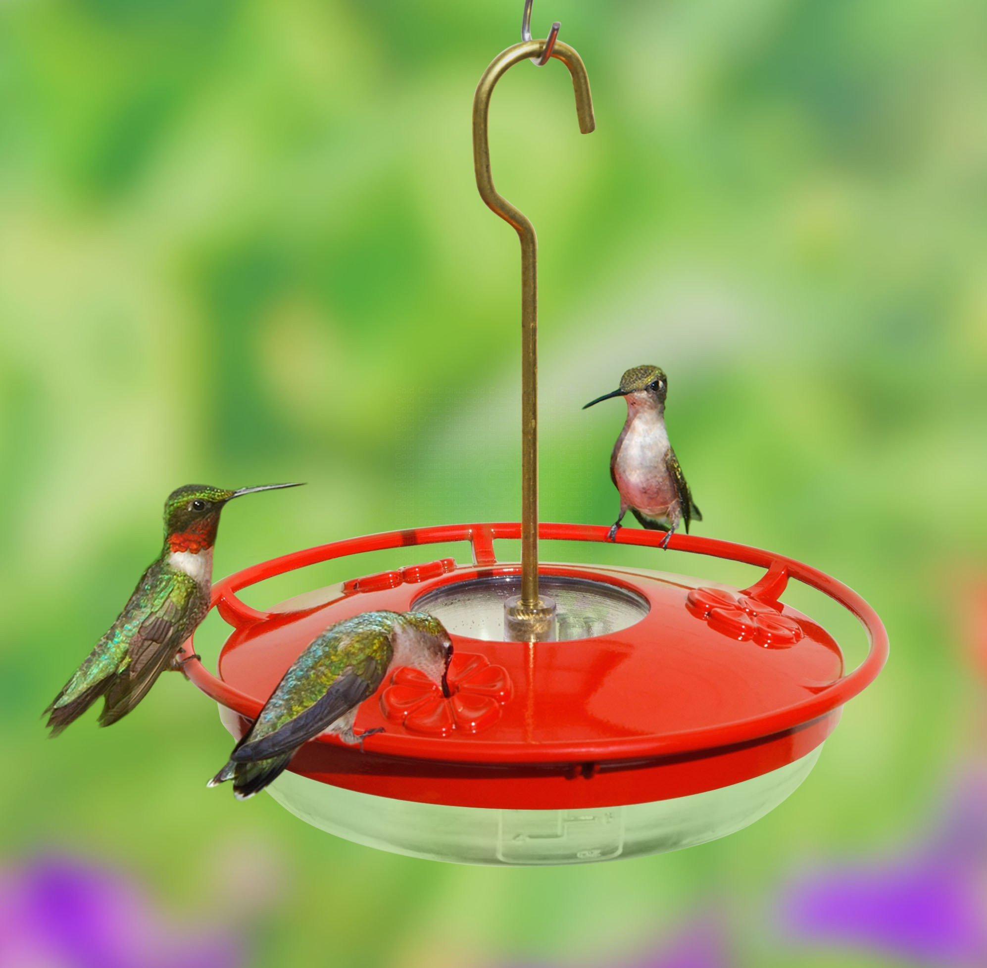 Aspects 8 Oz Mini Hummzinger Highview Hummingbird Feeder