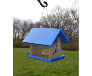 Mealworm Bird Feeders Feeder For Offering Mealworms To Birds